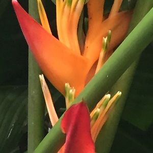 Meet your Posher, Irina